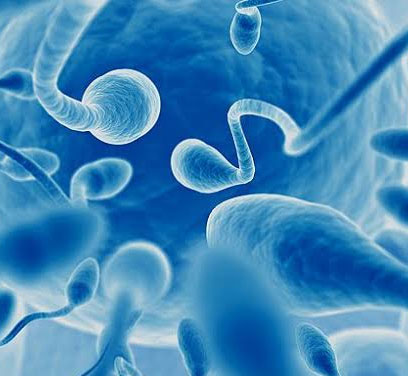 Andrology-Clinic